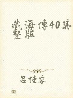 藏海传40集完整版封面