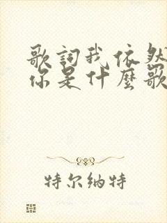 歌词我依然在等你是什么歌