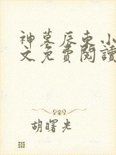 神墓辰东小说原文免费阅读封面