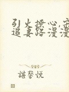 引火撩心,宋总追妻路漫漫免费阅读