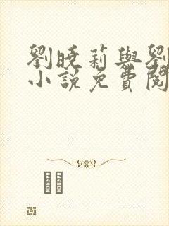 刘晓莉与刘亦菲小说免费阅读