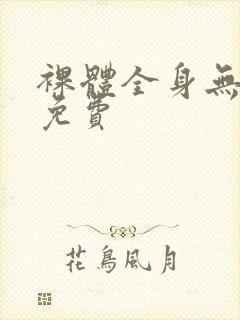 裸体全身无遮挡免费