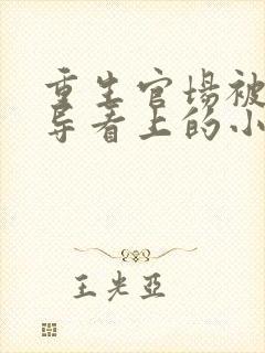 重生官场被大领导看上的小说