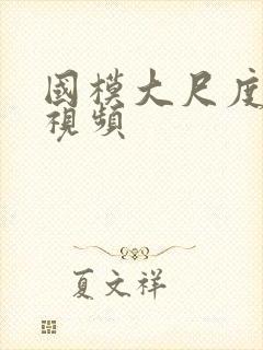 国模大尺度床戏视频封面