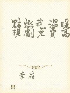 点燃我温暖你电视剧免费高清观看