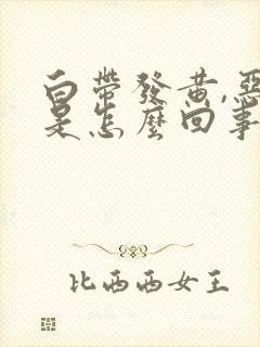 白带发黄,恶臭是怎么回事封面