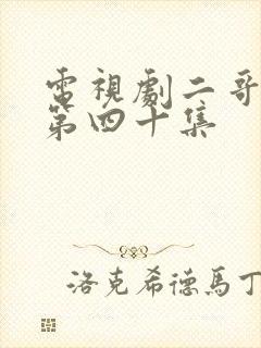 电视剧二哥二嫂第四十集