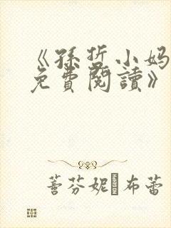 《孙哲小妈朱颜免费阅读》封面