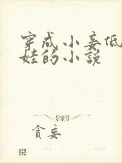 穿成小妾低调养娃的小说