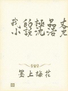 我的极品丈母娘小说沈浩免费阅读