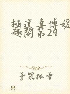 极道妻傅媛媛笔趣阁第29