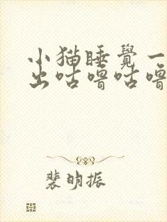 小猫睡觉一直发出咕噜咕噜的声音