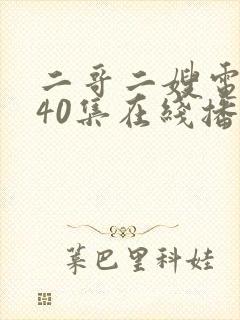 二哥二嫂电视剧40集在线播放