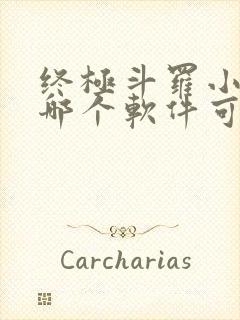 终极斗罗小说在哪个软件可以看