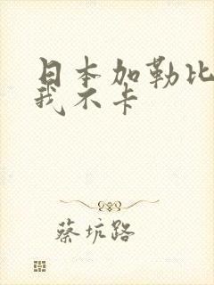 日本加勒比视频我不卡