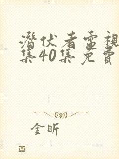 潜伏者电视剧全集40集免费观看潜伏