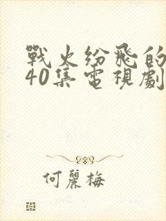 战火纷飞的年代40集电视剧