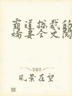 霸道总裁的独宠娇妻全文阅读封面