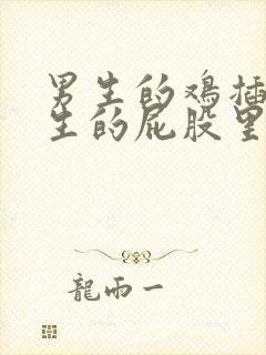 男生的鸡插进女生的屁股里封面