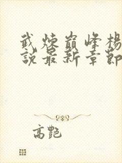 武炼巅峰杨开小说最新章节列表最