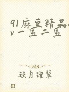 91麻豆精品av一区二区