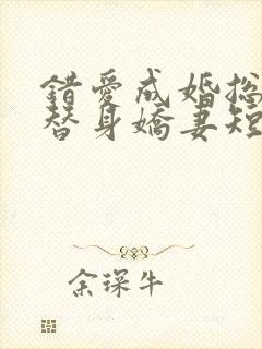 错爱成婚总裁的替身娇妻短剧