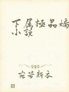 下属极品娇妻的小说