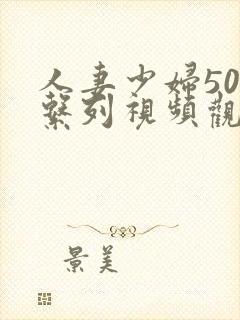 人妻少妇500系列视频观看