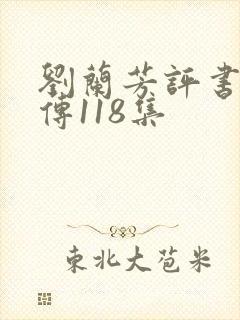 刘兰芳评书岳飞传118集