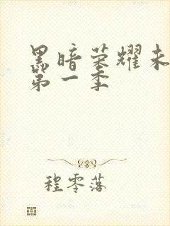 黑暗荣耀未删减第一季