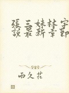 张三妹林宇果小说最新章节更新内容封面