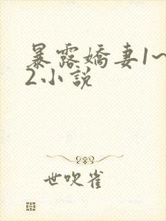 暴露娇妻1~12小说