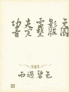 功夫电影免费观看完整版国语高清字幕