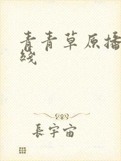 青青草原播放在线