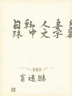 日韩 人妻 丝袜 中文字幕封面