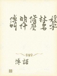 傅明修林媛小说叫什么名字封面