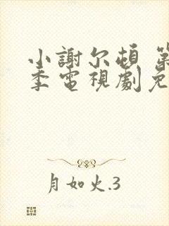 小谢尔顿 第一季电视剧免费看