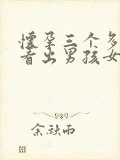 怀孕三个多月能看出男孩女孩吗封面