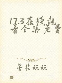 17.3在线观看全集免费完整国语