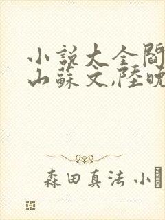 小说大全阎王下山苏文,陆晚风