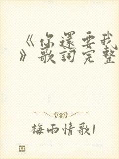 《你还要我怎样》歌词完整版