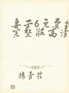 妻子6免费播放完整版高清韩剧