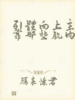 引体向上主要是靠哪些肌肉