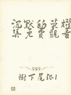 沉默的荣耀37集免费观看