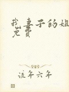 我妻子的姐姐2免费