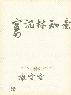 宫沉林知意大结局