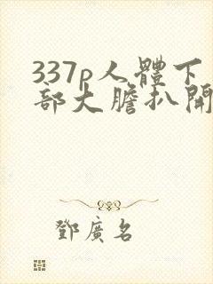 337p人体下部大胆扒开