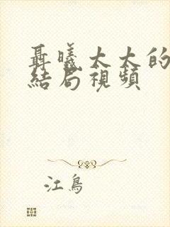 聂曦太太的真实结局视频