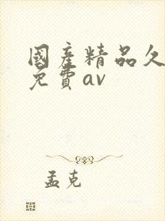 国产精品久久久免费av