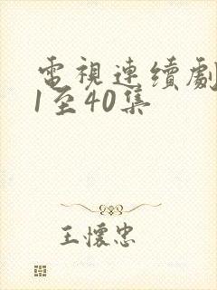 电视连续剧麦香1至40集